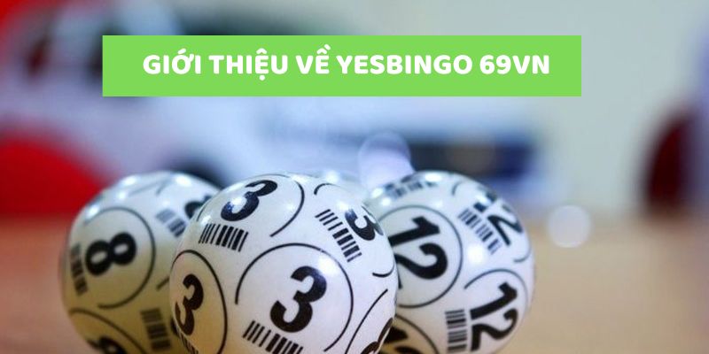 Đôi nét sơ lược nhất về YesBingo 69vn